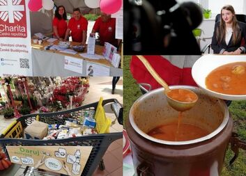 Výroční zpráva 2019