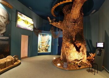 Na co všechno museli myslet stavitelé rybníků, zjistily v Třeboni společně české a ukrajinské děti