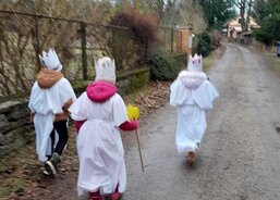 Nová Bystřice a okolí