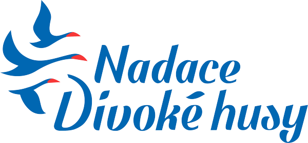 Divoké husy