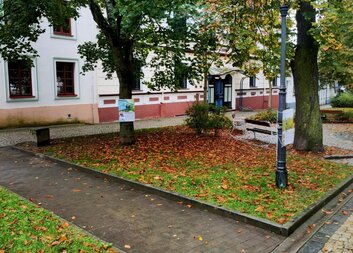 Výstava na stromech